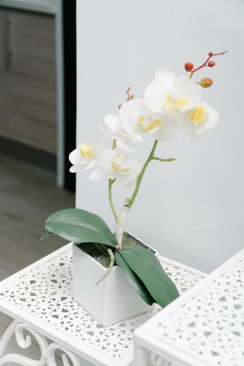 Apartamentos Ganesha جاكو المظهر الخارجي الصورة